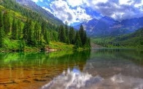 FRANCISCO CARLOS FRANÇA