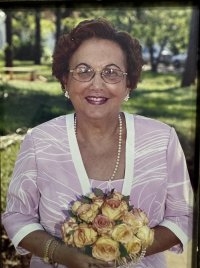 NILDA PEREIRA DOS SANTOS CARICATI