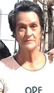 MARIA TEREZA ROSARIO DOS SANTOS RODRIGUES