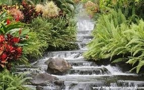 MARIA APARECIDA FERREIRA DOS SANTOS