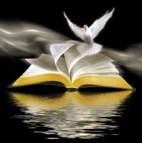 NANCI ALVES DE MORAES SANTOS