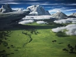 APARECIDO FRANCISCO DA SILVEIRA