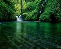 IRENE BARBOSA BRONDI